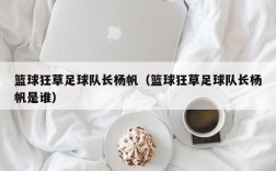 篮球狂草足球队长杨帆（篮球狂草足球队长杨帆是谁）