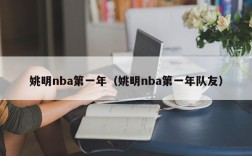 姚明nba第一年（姚明nba第一年队友）