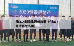 fifa14球员生涯修改器（fifa14修改器怎么用）