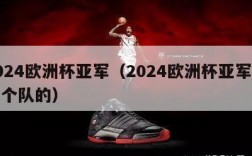 2024欧洲杯亚军（2024欧洲杯亚军是哪个队的）