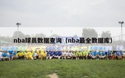 nba球员数据查询（nba最全数据库）