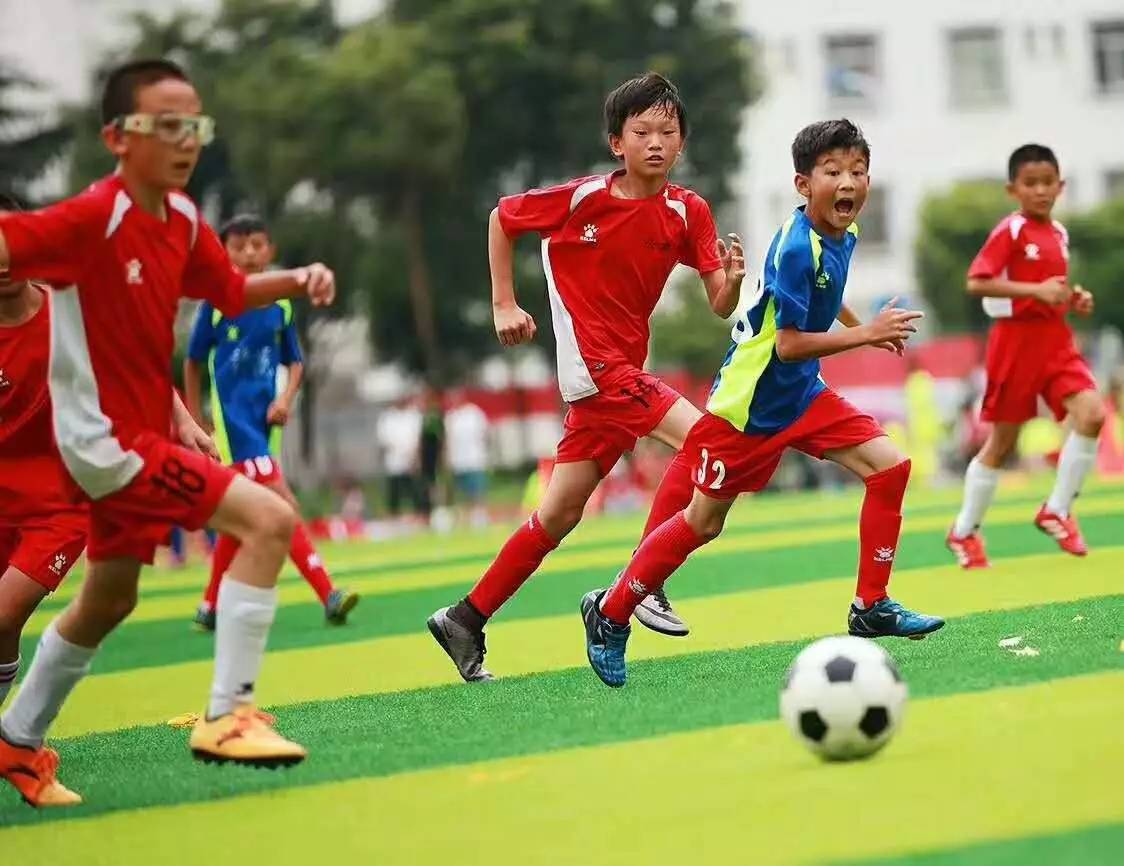 国际中学生体育联合会主席、副主席、秘书长